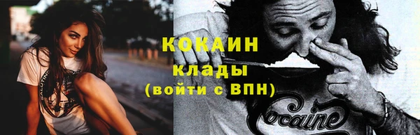 сатива Богданович