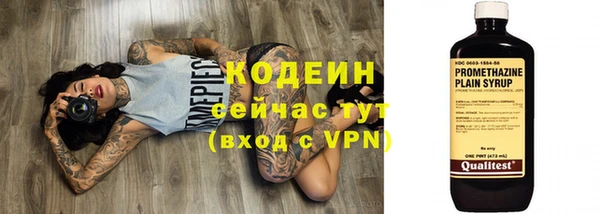 дмт Богородицк