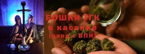 сатива Богданович