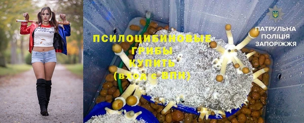 сатива Богданович