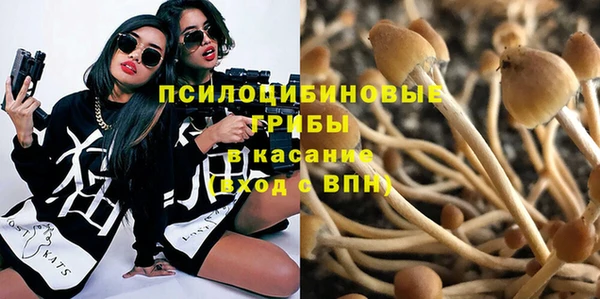 соль ск Верхний Тагил