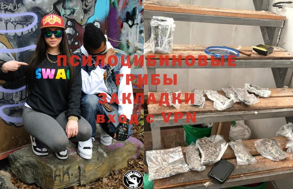 сатива Богданович