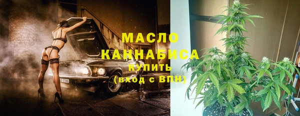 дмт Богородицк